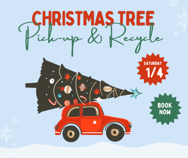 Christmas Tree Recycling 2024